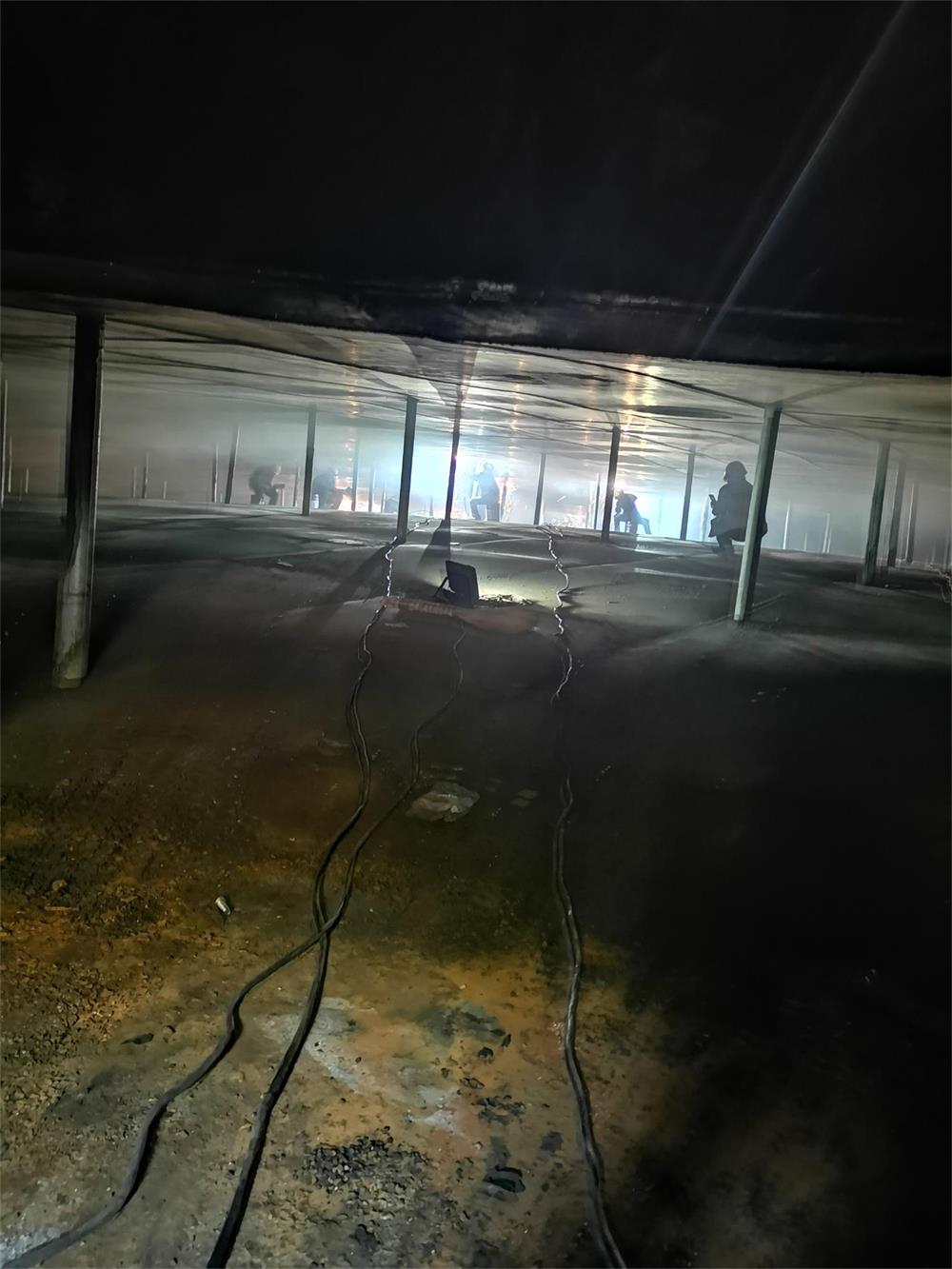 成人看片在线91